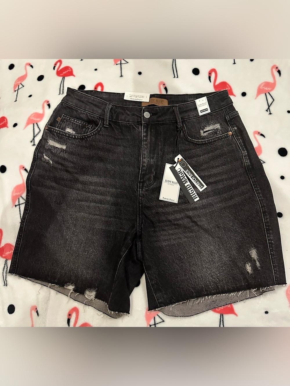 NEW Judy Blue Rigid Magic Black Stretch High Waist Fray Hem Jean Shorts 1XL 2XL
